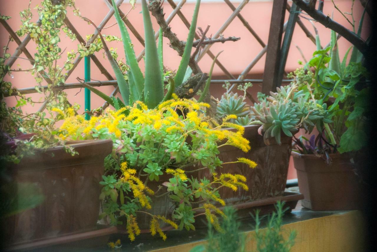 Appartamento Fiore Rome Exterior photo